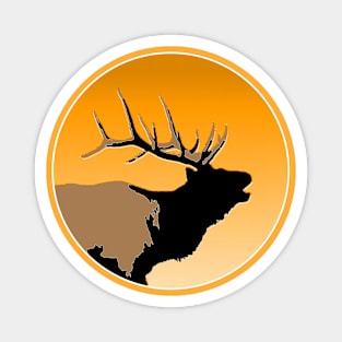 Bugling Elk at Sunset Magnet